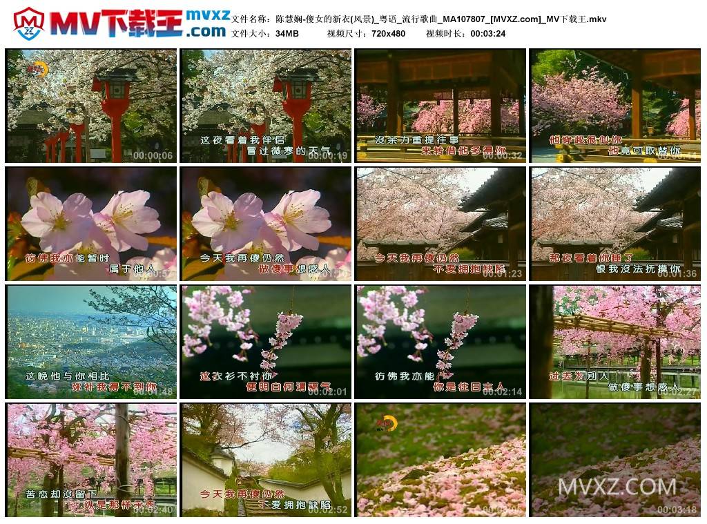 陈慧娴-傻女的新衣(风景)_粤语_流行歌曲_MA107807